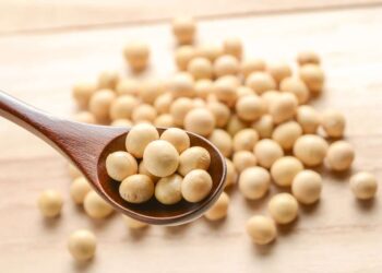 صادرات فول الصويا الأمريكية تنخفض 13% في عام 2025