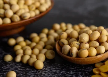 المفوضية الأوروبية تخفض توقعات محصول الصويا في الاتحاد الأوروبي في عام 2025