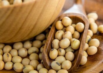 صادرات أوكرانيا من فول الصويا تسجل 200 ألف طن منذ بداية الموسم