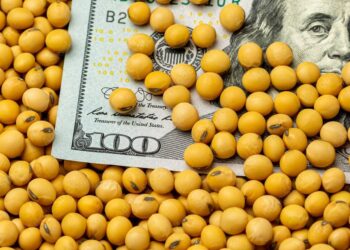 أسعار فول الصويا تنهي تداولات الثلاثاء على انخفاض مع تحويل الصين الطلب إلى البرازيل