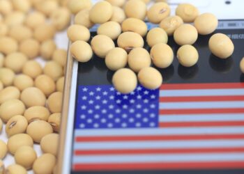 صادرات فول الصويا الأمريكي تتراجع 50% خلال الموسم الحالي