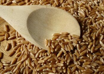 العقود الآجلة للقمح ترتفع للجلسة الخامسة على التوالي في ختام تداولات الأربعاء