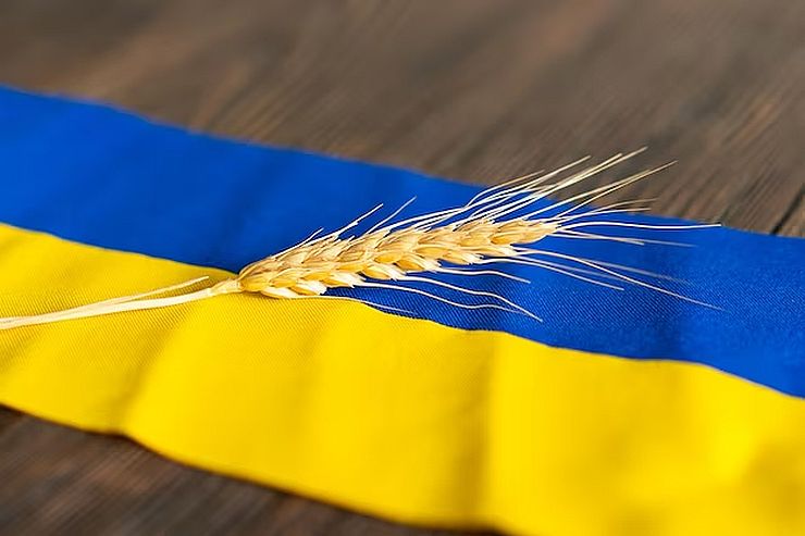 أوكرانيا تصدر 3 ملايين طن من الحبوب في نوفمبر