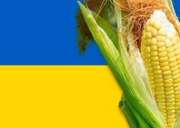 صادرات الحبوب الأوكرانية تسجل 14.3 مليون طن للموسم الحالي