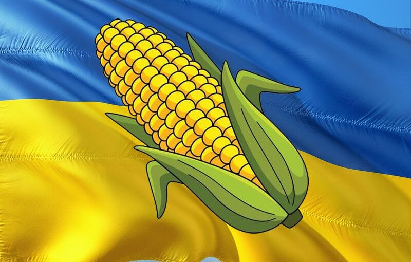 بقيادة الذرة.. أوكرانيا تزيد صادراتها من محاصيل الحبوب الرئيسية في النصف الأول من شهر ديسمبر