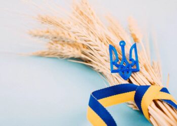 بزيادة 4.2 مليون طن.. ارتفاع مخزونات الحبوب في أوكرانيا في ديسمبر