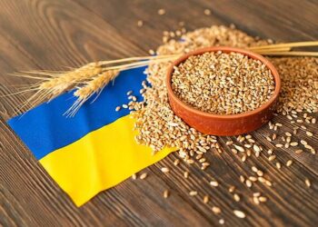 صادرات الحبوب الأوكرانية تتخلف عن مؤشر العام الماضي بمقدار 6 مليون طن