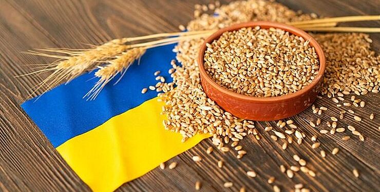 صادرات الحبوب الأوكرانية تتخلف عن مؤشر العام الماضي بمقدار 6 مليون طن
