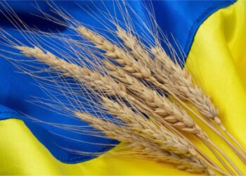 صادرات أوكرانيا من الحبوب تتجاوز 15 مليون طن منذ بداية الموسم