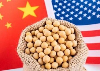 تجارة فول الصويا بين الولايات المتحدة والبرازيل تتوقف على الواردات الصينية