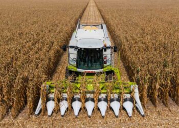 أوكرانيا تحصد 25.4 مليون طن من الذرة.. وحصاد فول الصويا يقترب من الانتهاء