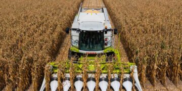 حصاد فول الصويا