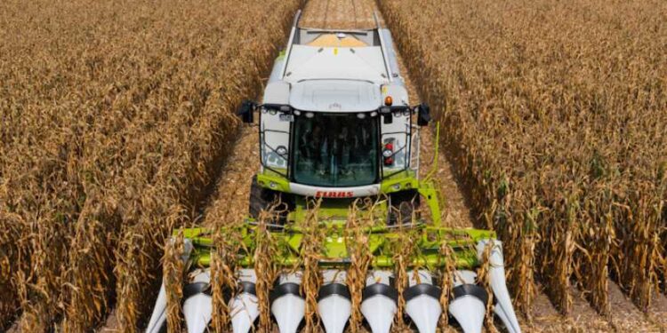 حصاد فول الصويا