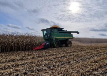 حصاد الحبوب في أوكرانيا يقترب من 58 مليون طن