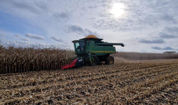 حصاد الحبوب في أوكرانيا يقترب من 58 مليون طن