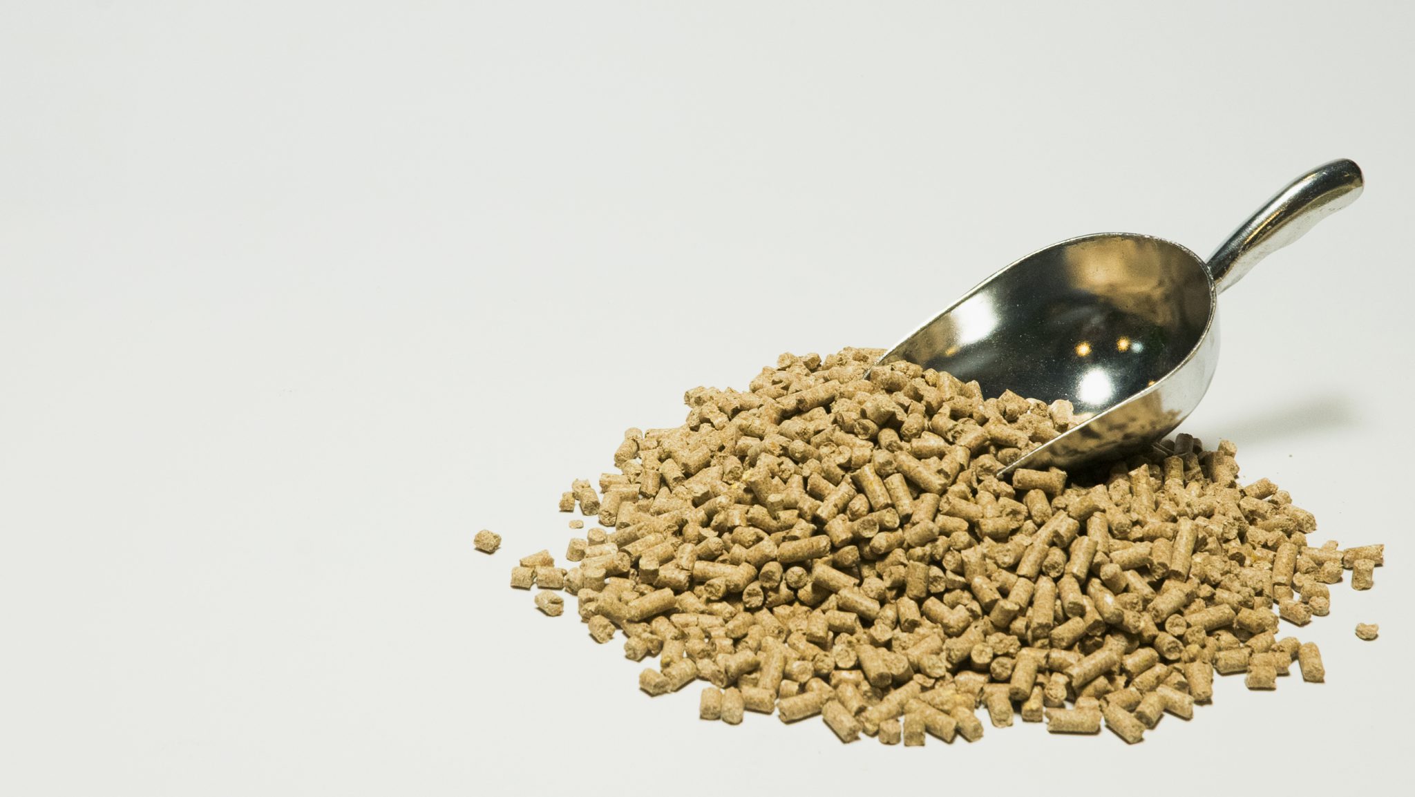 أعلاف الماشية