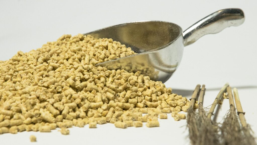 إضافات الأعلاف