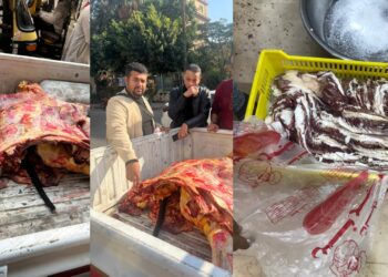 “الزراعة”: ضبط 135 طنًا من اللحوم المخالفة خلال النصف الأول من ديسمبر