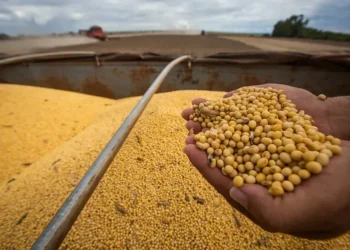 الصويا لا تزال تتحرك بشكل جانبي خلال جلسة اليوم رغم المبيعات الجديدة للولايات المتحدة