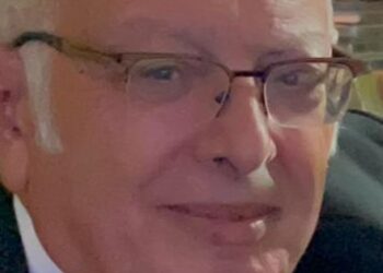 قطاع الأعلاف