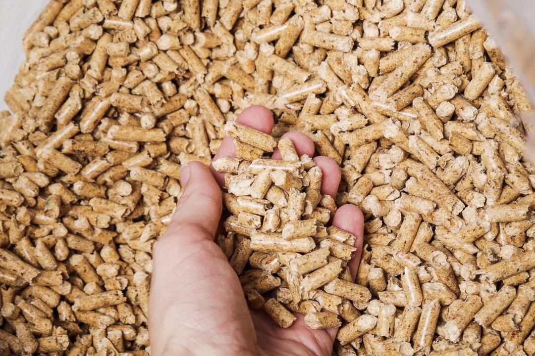 كسب الصويا الهندي يفقد المنافسة في السوق العالمية