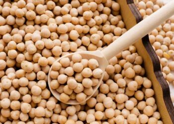 فول الصويا الأمريكي يحل تدريجيا محل نظيره الأوكراني في السوق المصرية