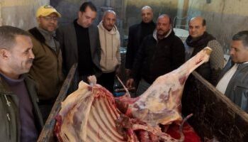 بيطري المنوفية يضبط سلخانة غير مرخصة ولحوم غير صالحة