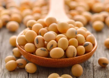 فول الصويا يختتم أول تداول في عام 2026 بانخفاض في ختام تداولات الجمعة