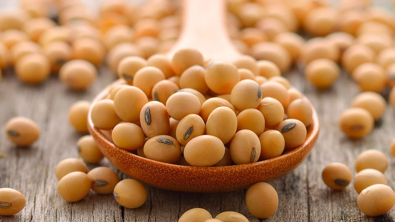 فول الصويا يختتم أول تداول في عام 2026 بانخفاض في ختام تداولات الجمعة