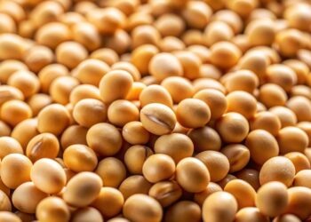 ارتفاع صادرات الولايات المتحدة من فول الصويا.. الصين ومصر أبرز الوجهات
