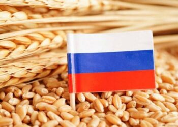 انخفاض صادرات الحبوب الروسية في النصف الأول من الموسم بنحو 18٪