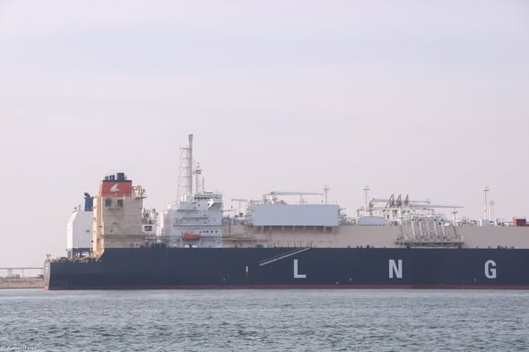 ميناء دمياط يستقبل 13297 طن ذرة و 3238 طن قمح