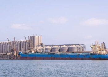 ميناء دمياط يستقبل 29900 طن ذرة و 11122 طن قمح