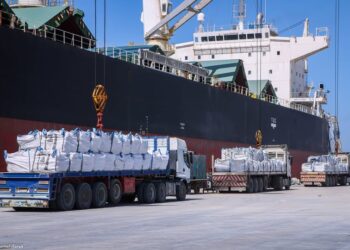 ميناء دمياط تستقبل 46356 طن ذرة و 12016 طن قمح