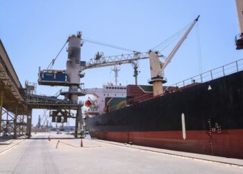 ميناء دمياط يستقبل 31207 طن ذرة خلال 24 ساعة