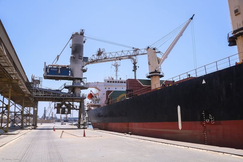 ميناء دمياط يستقبل 31207 طن ذرة خلال 24 ساعة