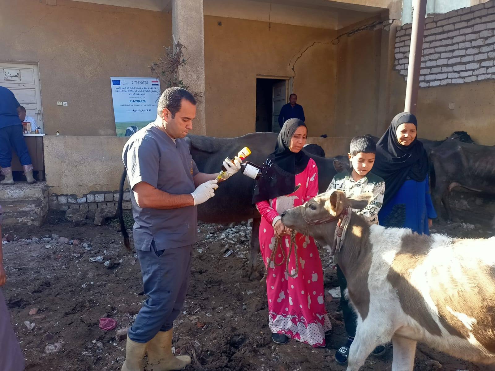 فحص 1600 رأس ماشية ضمن أعمال 5 قوافل بيطرية مجانية ببني سويف