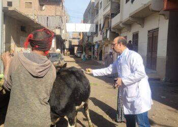 حصاد 2025.. فحص وعلاج أكثر من 1.7 مليون رأس ماشية وطائر ضمن القوافل البيطرية