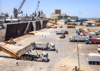 ميناء دمياط يستقبل 11500 طن ذرة و 9291 طن قمح