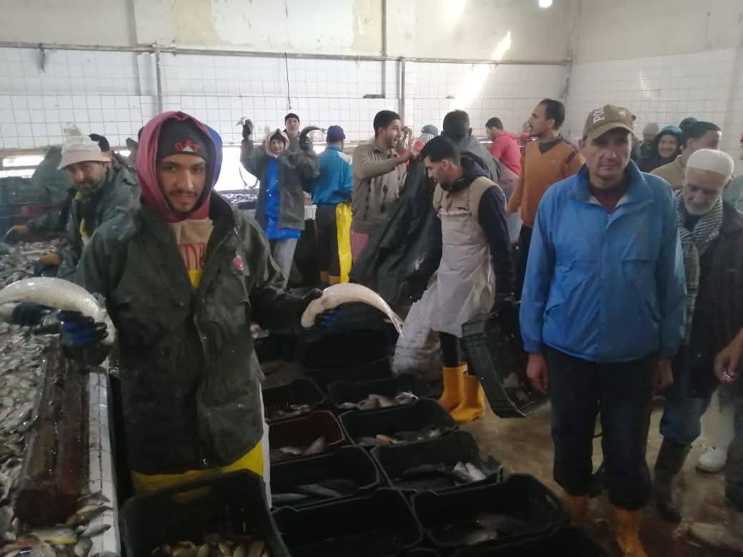 تنمية البحيرات