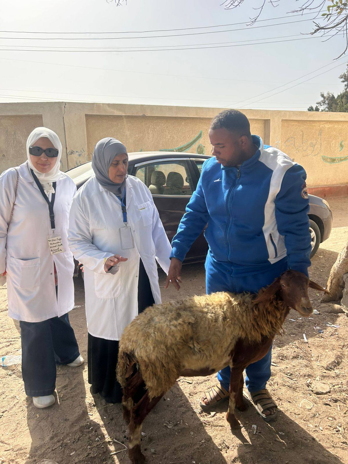 "الزراعة" تطلق أكبر قافلة خدمية إرشادية بحثية لدعم المربين بمحافظة الإسماعيلية