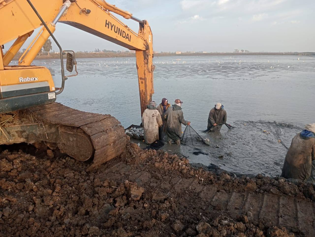 "جهاز تنمية البحيرات" يفتتح المعمل المركزي بمزرعة برسيق السمكية