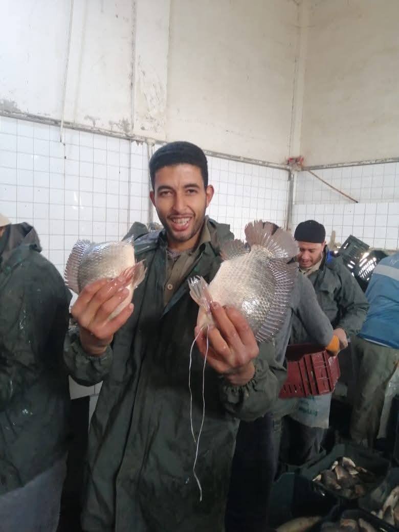 مزرعة المنزلة السمكية تنتج 20 طن من أسماك البلطي بنظام الاستزراع السمكي