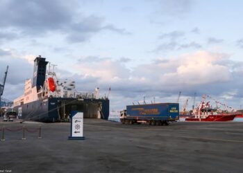 ميناء دمياط يستقبل 11924 طن ذرة و 6944 طن قمح