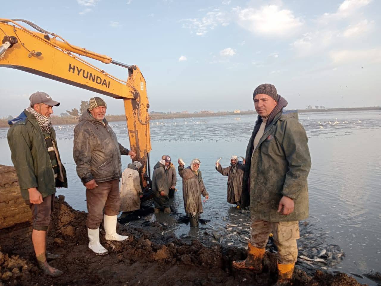 "جهاز تنمية البحيرات" يفتتح المعمل المركزي بمزرعة برسيق السمكية