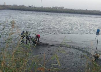 انطلاق موسم الصيد بمحطة تحضين الخاشعة السمكية في إطار خطة الجهاز لزيادة الإنتاج السمكي