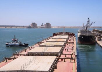 ميناء دمياط يستقبل 13430 طن ذرة و 6281 طن قمح