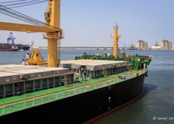 ميناء دمياط يستقبل 11000 طن ذرة و 7494 طن قمح