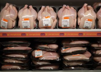 الصين تتصدر الاستهلاك العالمي للدواجن وتدفع الصادرات البرازيلية للصدارة