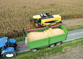 أوكرانيا تحصد 28.7 مليون طن من الذرة